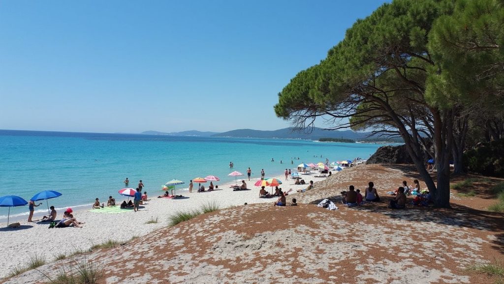 Playa Plage de Punta di a Nava en Bonifacio, Córcega