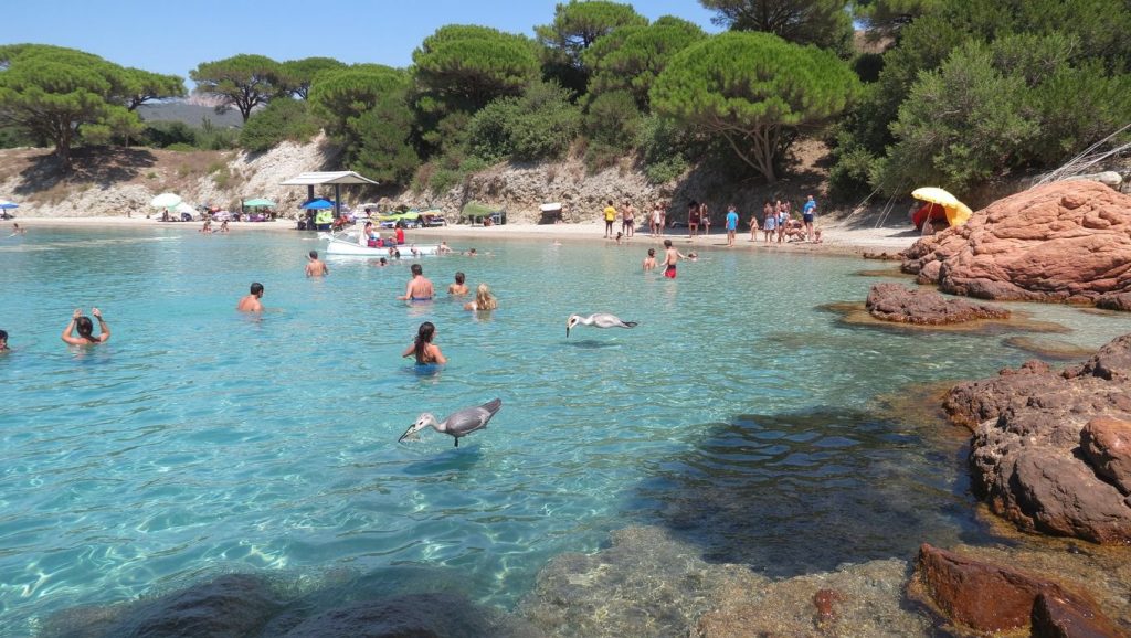 Paseo hacia Plage de Tallone, Cap Corse