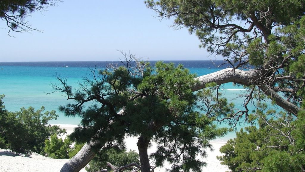 Entorno de Plage de Travo, Ajaccio, Córcega