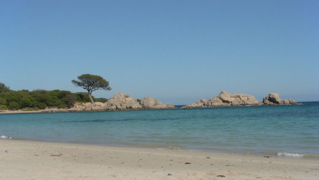 Playa Plage de Verghia desde la arena, Ajaccio, Córcega