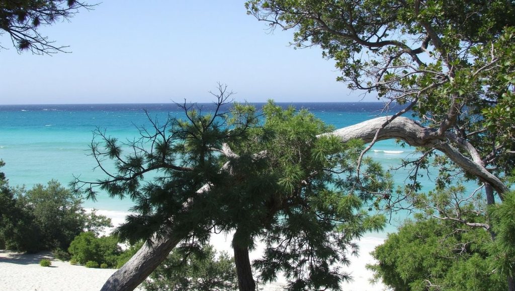 Vista del litoral en Plage d'Olzo, Bastia
