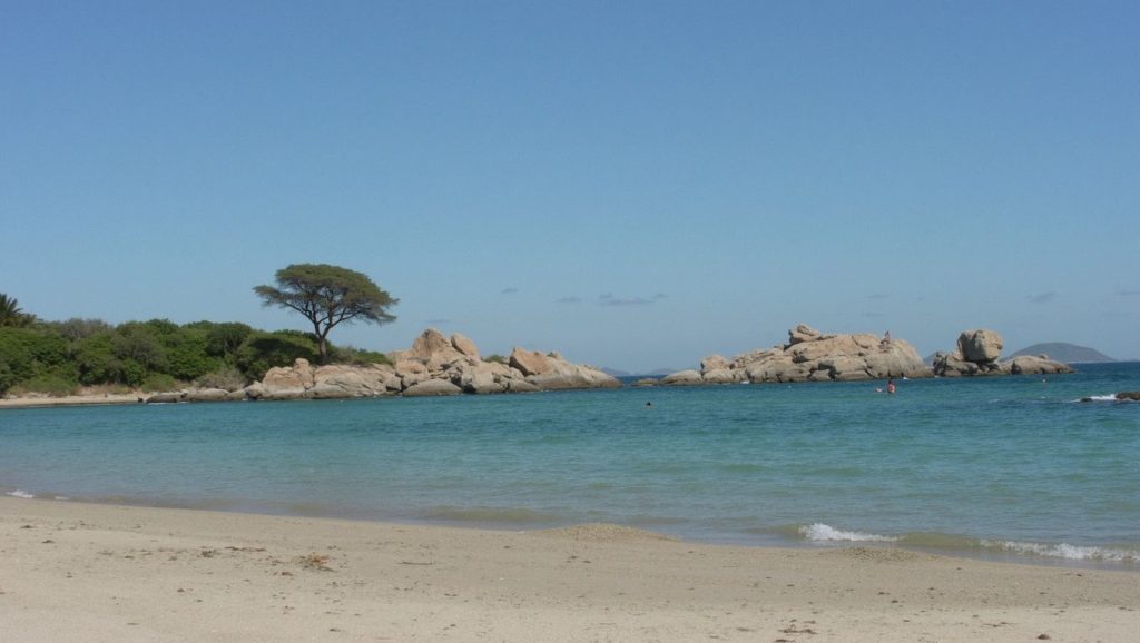 Alrededores de Plage du Grand Capo, Ajaccio