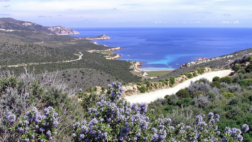 Vista del entorno de Plage la Testa, Porto-Vecchio, Córcega