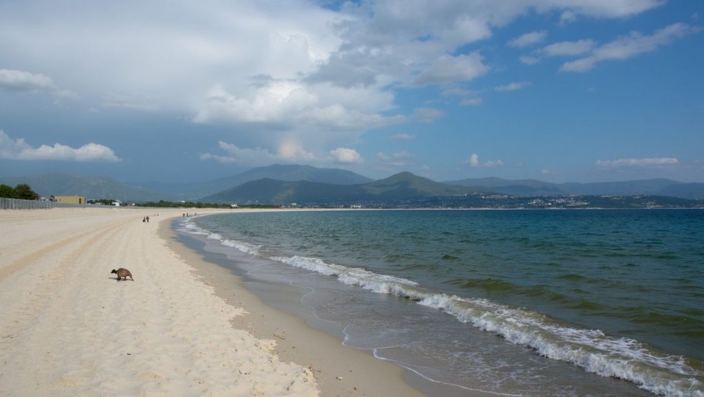 Panorámica completa de Plage Piscona, playa de Propriano