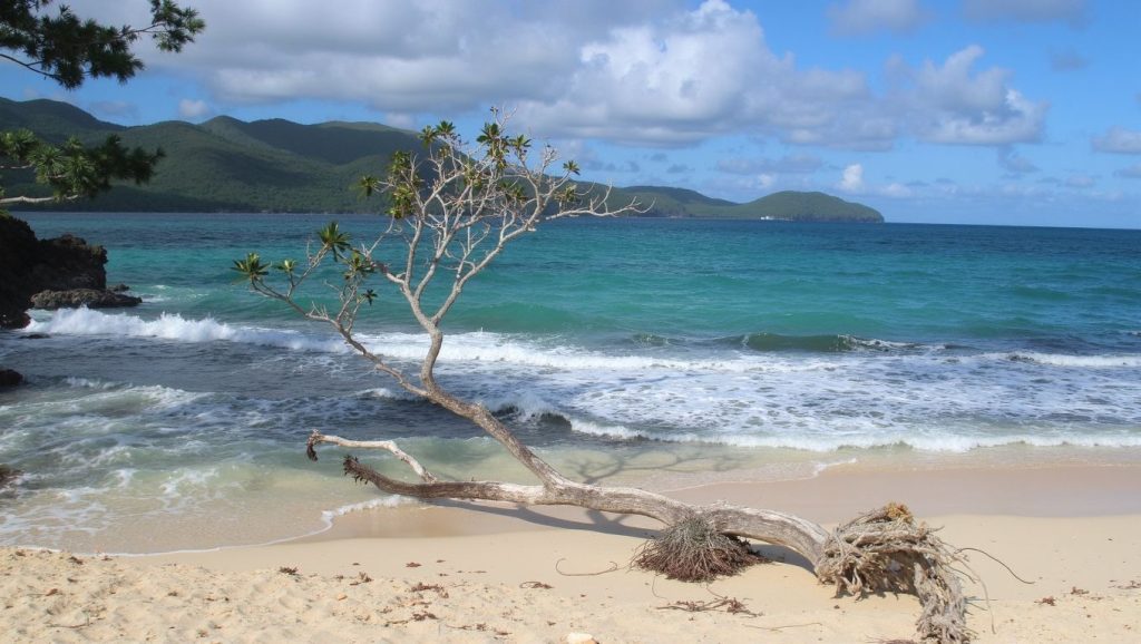 Playa Alicia (Puerto Plata, Rep. Dominicana) — foto 6