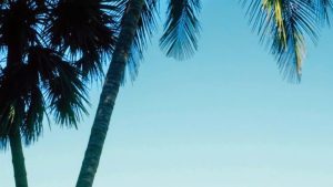 Playa Boca Ciega