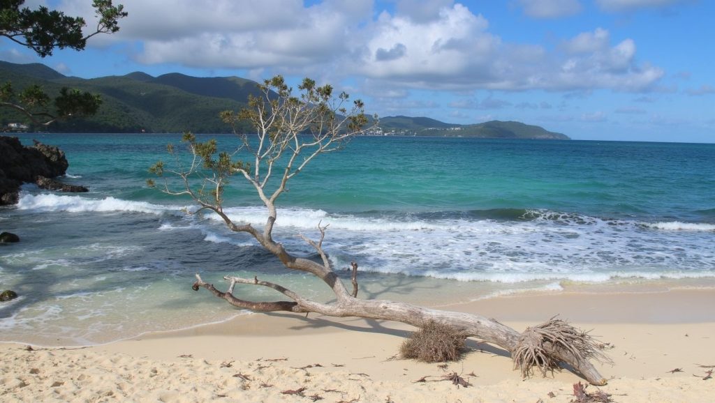 Playa Boca de Yuma (Punta Cana, Rep. Dominicana) — foto 5