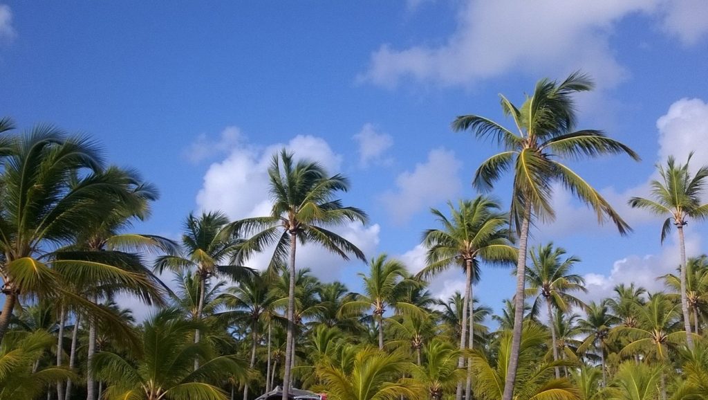 Playa Bonita (Samaná, Rep. Dominicana) — foto 5