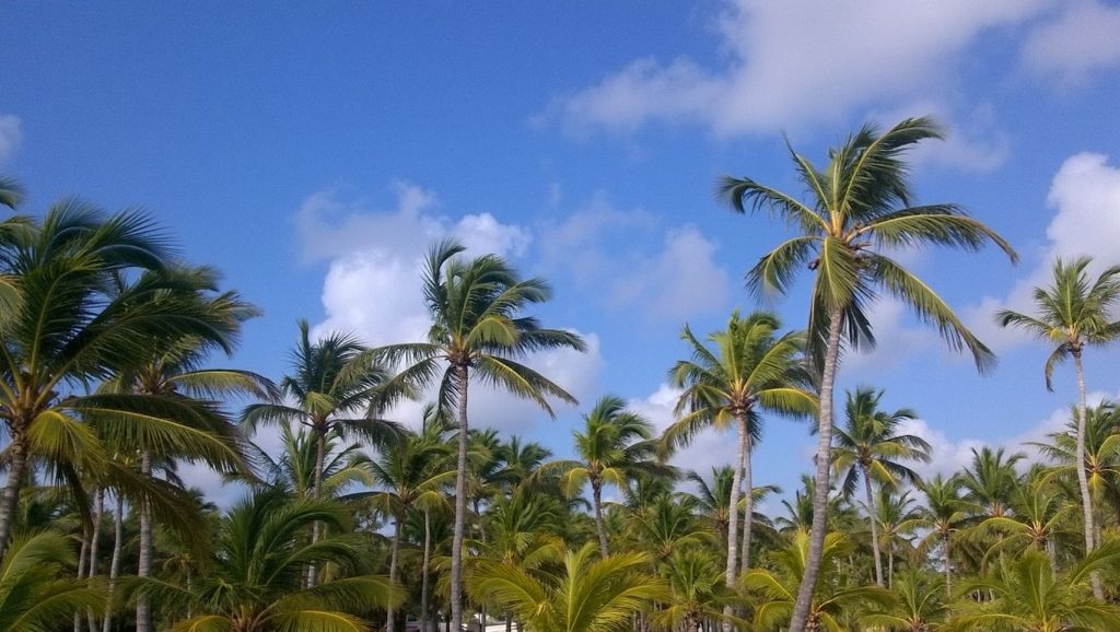 Playa Cabeza de Toro (Punta Cana, Rep. Dominicana) — foto 2