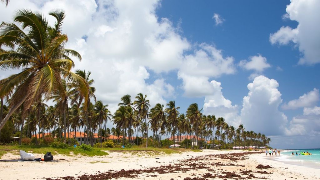 Playa Caleta (Punta Cana, Rep. Dominicana) — foto 5