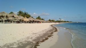 Playa Cardenero