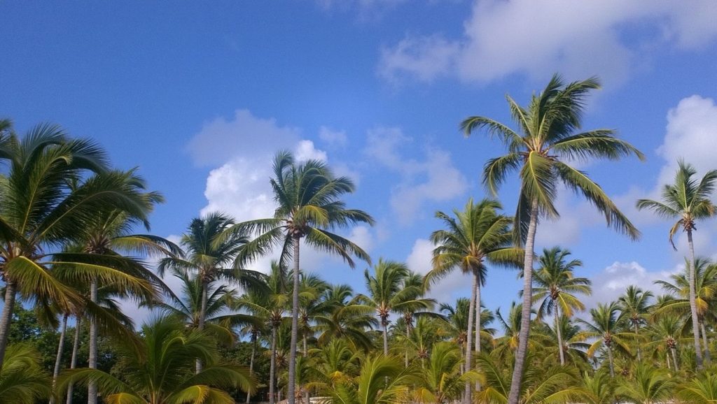 Playa Caribe (La Romana, Rep. Dominicana) — foto 2
