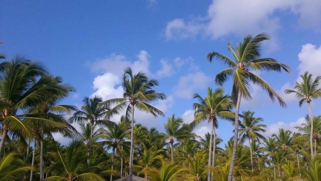 Playa Carolina (Samaná, Rep. Dominicana) — foto 4