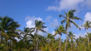 Playa Catalina