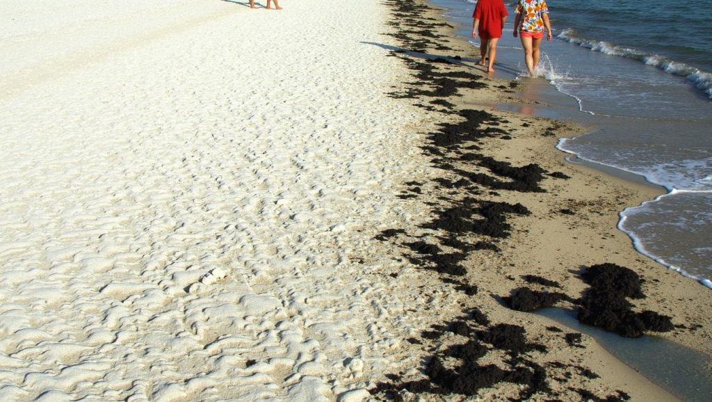 Vista general de Playa Cayo Saetía, Holguín