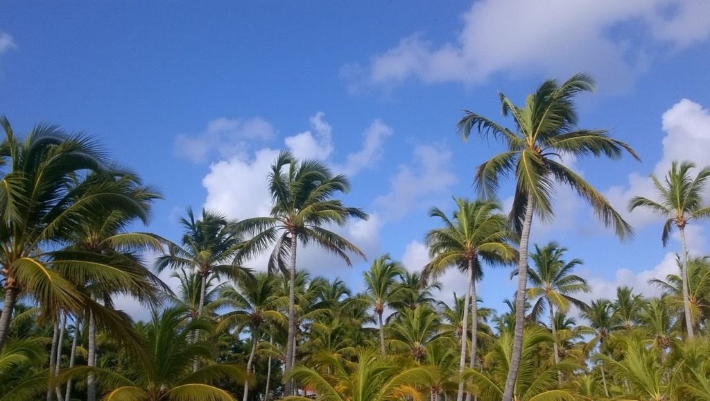 Playa de Güibia (Santo Domingo, Rep. Dominicana) — foto 6