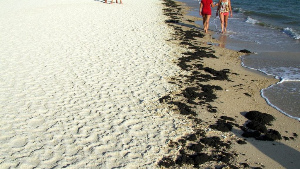 Oleaje en la orilla de Playa de la Boca, costa de Camagüey