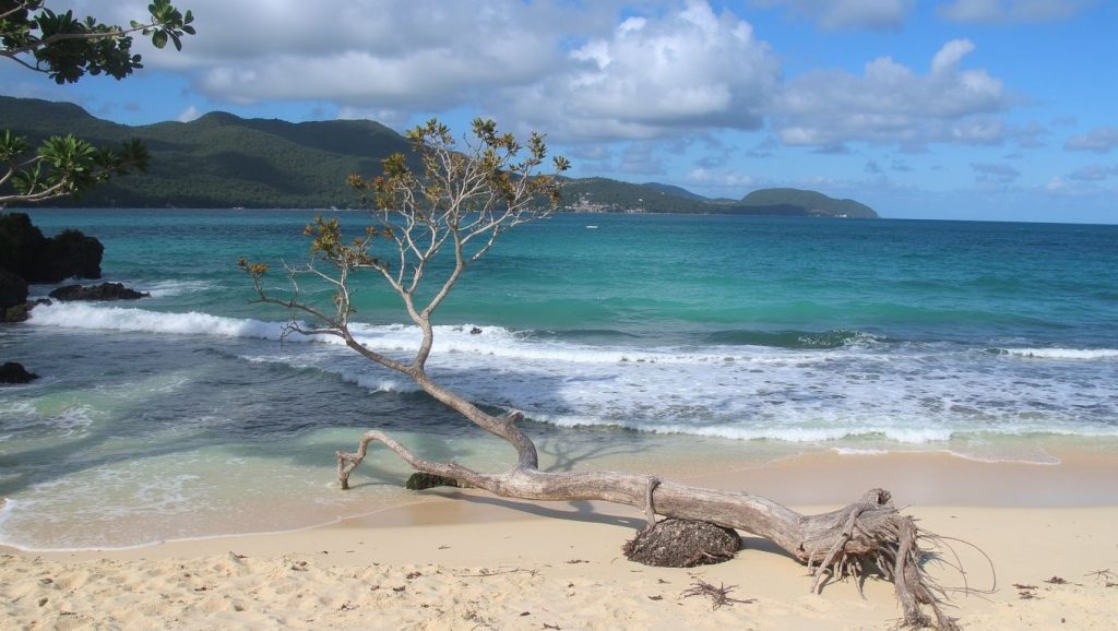 Playa De Los Gringos (Samaná, Rep. Dominicana) — foto 3