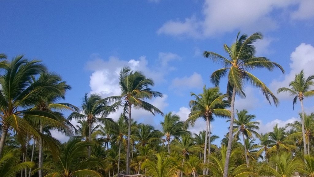 Playa del Barco (Santo Domingo, Rep. Dominicana) — foto 3
