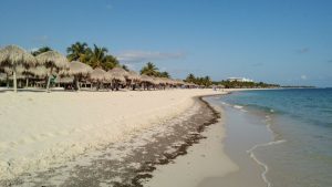 Playa El Francés