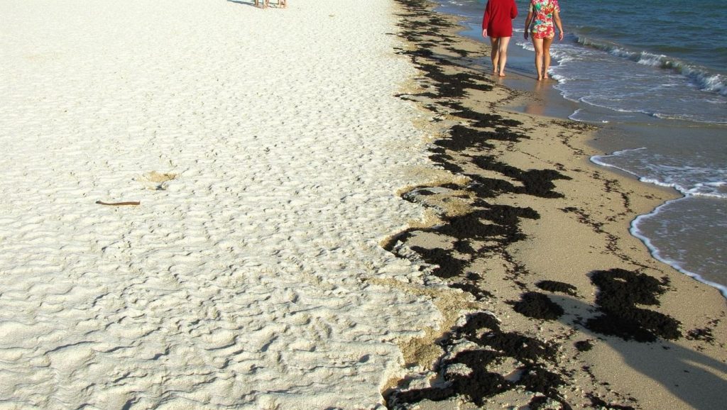 Oleaje en la orilla de Playa El Mamey, costa de La Habana
