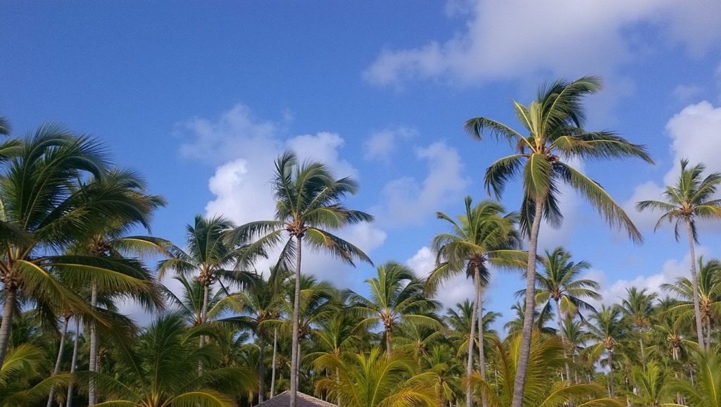 Playa El Morro (Puerto Plata, Rep. Dominicana) — foto 5