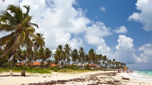 Playa Isla Catalina
