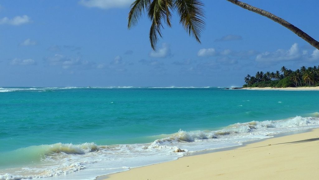 Playa Jackson (Samaná, Rep. Dominicana) — foto 6