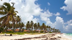 Playa La Caobita