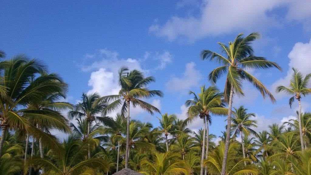 Playa La Ensenada (Puerto Plata, Rep. Dominicana) — foto 4