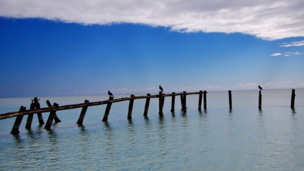 Playa Larga Cayo Coco (Cayo Coco, Cuba) — foto 1