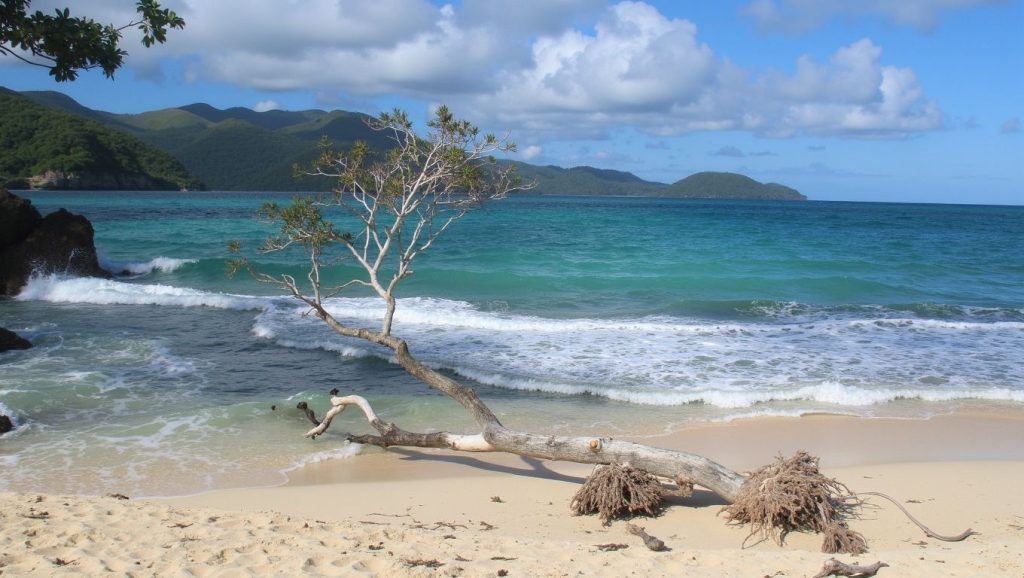 Playa Las Ballenas (Samaná, Rep. Dominicana) — foto 4