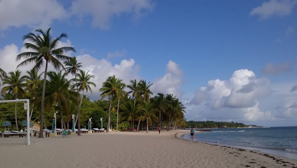 Playa Limón (Punta Cana, Rep. Dominicana) — foto 2