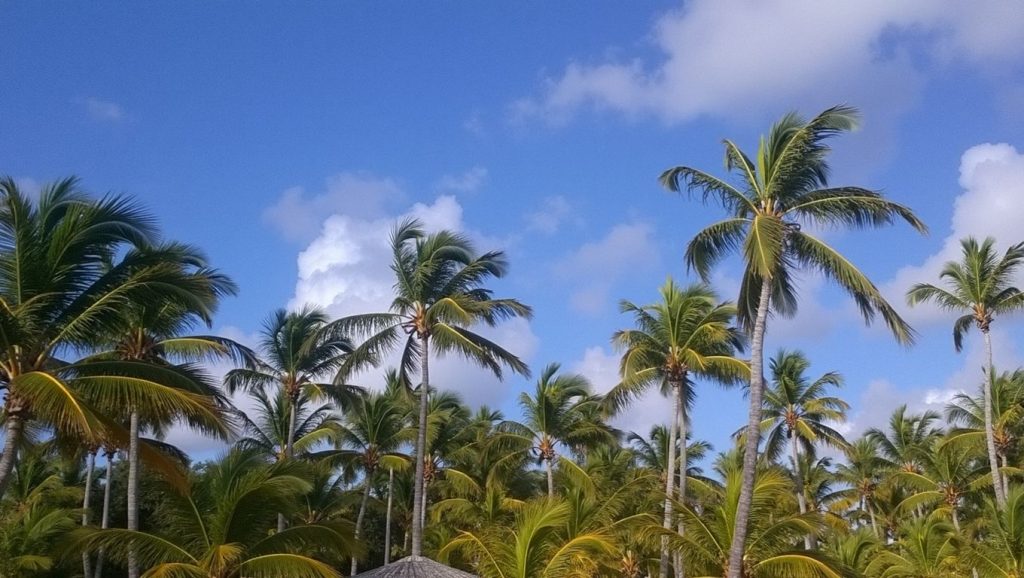 Playa Limón (Punta Cana, Rep. Dominicana) — foto 3
