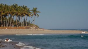 Playa Mangle