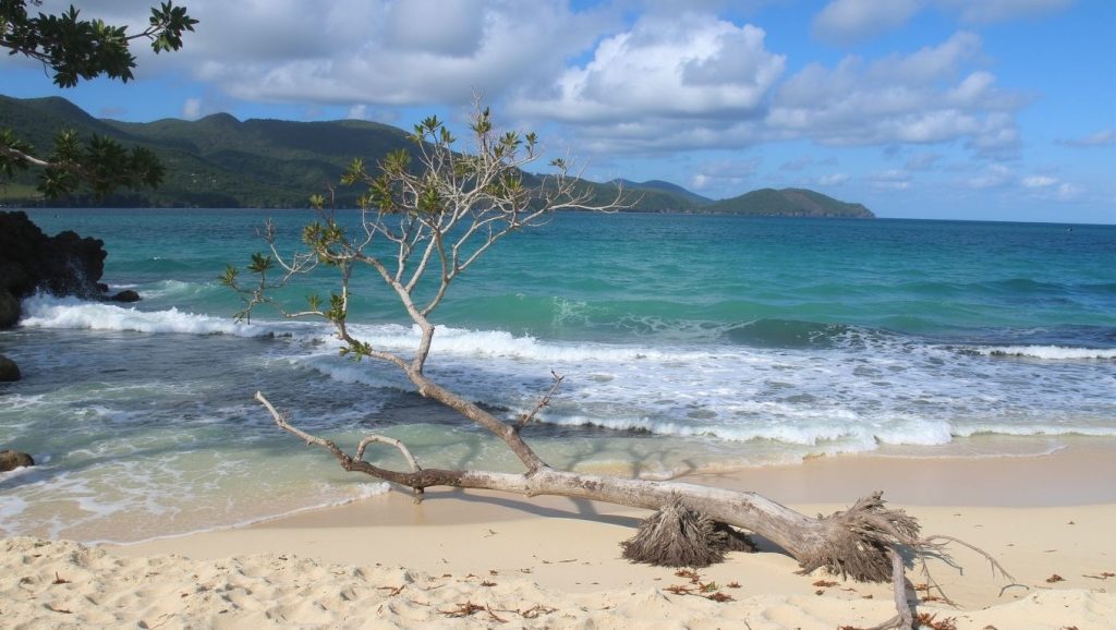 Playa Minitas (Punta Cana, Rep. Dominicana) — foto 3