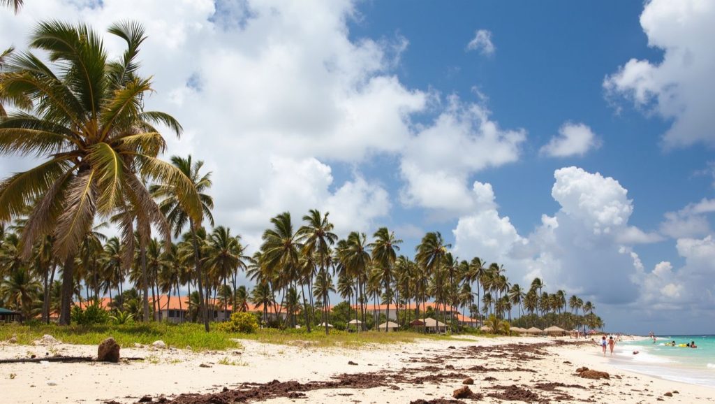 Playa Onda (Samaná, Rep. Dominicana) — foto 2