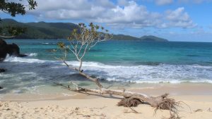 Playa Pato