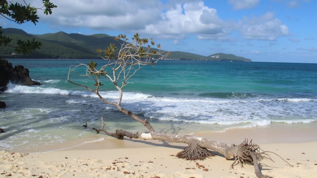 Playa Portillo (Samaná, Rep. Dominicana) — foto 3