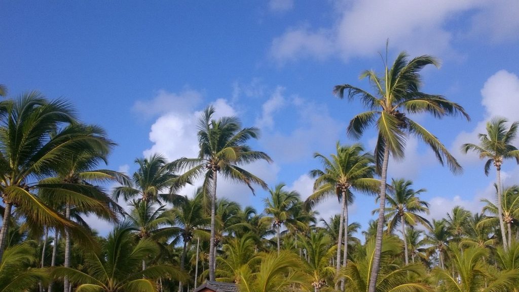 Playa Poza De Bojolo (Samaná, Rep. Dominicana) — foto 4