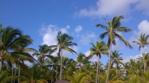 Playa Punta Cana (Punta Cana, República Dominicana)