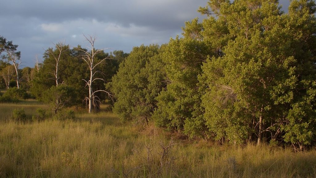 Camino de acceso a playa Resguardo, Pinar del Río, Cuba