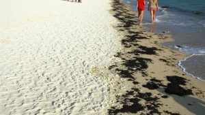 Playa Roja