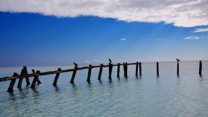 Playa Sabanalamar