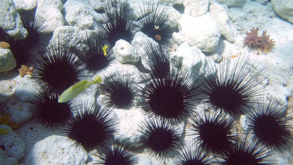 Detalle del agua en Playa Santa María del Mar, Playas del Este, Cuba