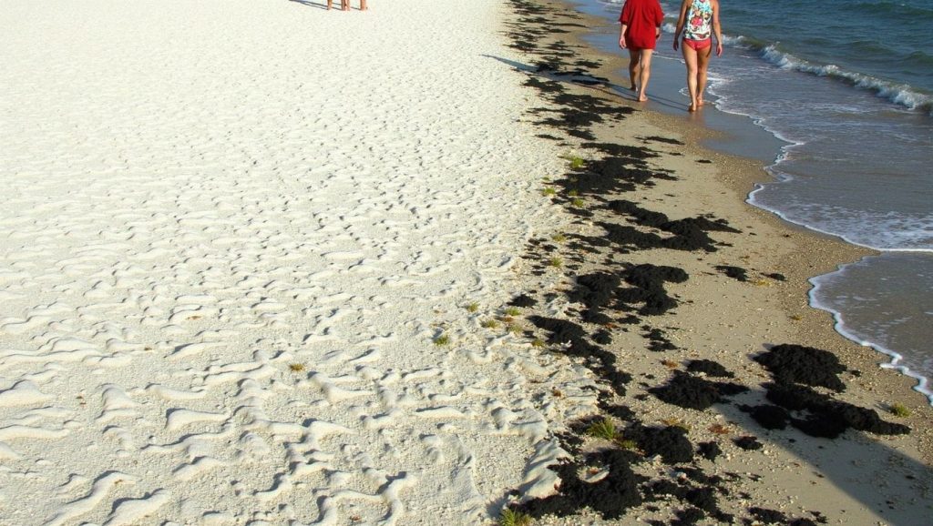 Primer plano de la orilla de Playa "Santa Rita", Santa Lucía