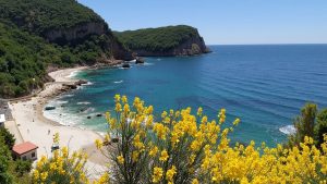 Plaža Maljevik