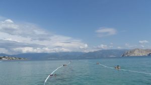 Plaža Omorika