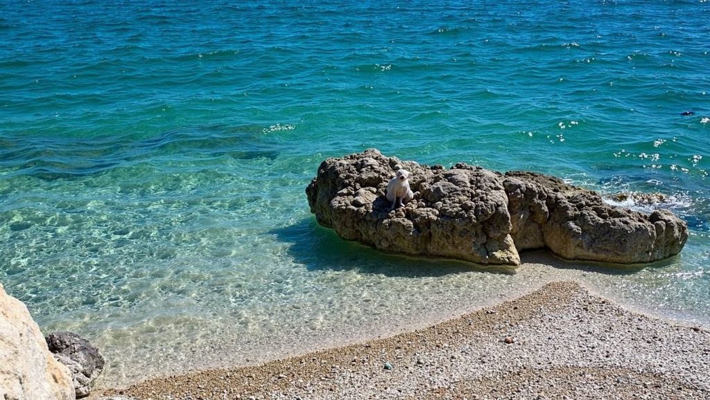 Primer plano de la orilla de Plaža Ramova, Croacia