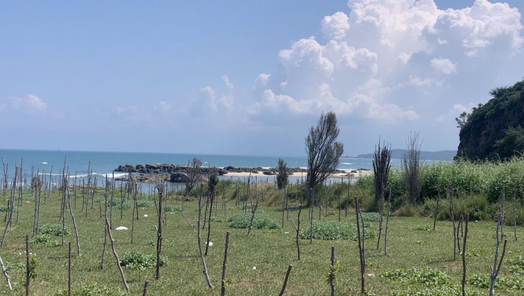 Plazhi i Dhërmiut (Riviera Albanesa, Albania) — foto 6